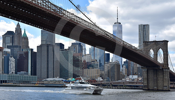 BROOKLYN BRIDGE #110 (New York)
