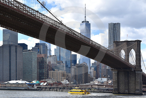 BROOKLYN BRIDGE #115 (New York)