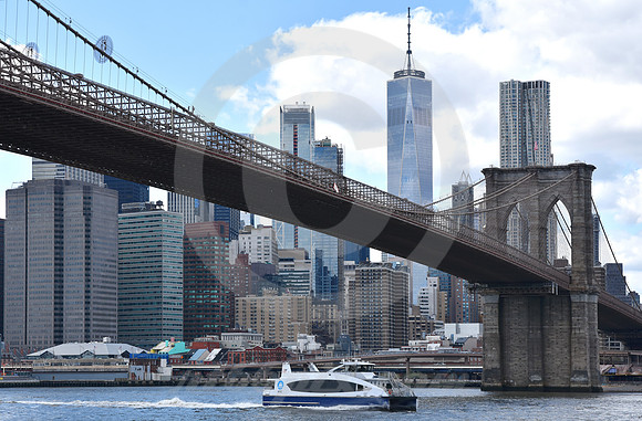 BROOKLYN BRIDGE #116 (New York)