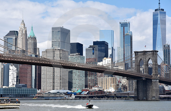 BROOKLYN BRIDGE #118 (New York)