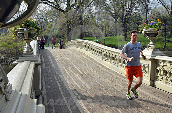 CENTRAL PARK #72 (New York)