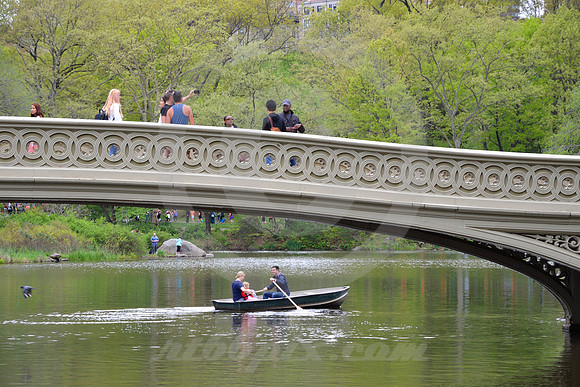 CENTRAL PARK #73 (New York)