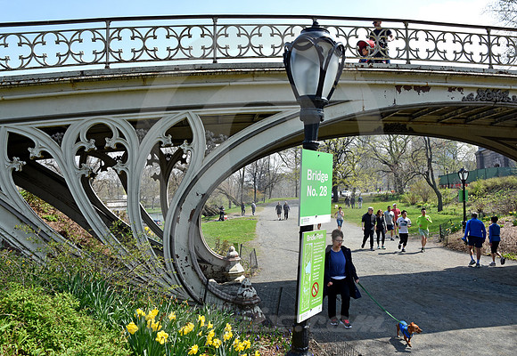 CENTRAL PARK #75 (New York)