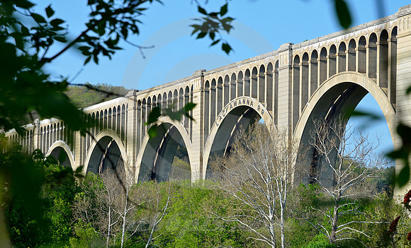 ARCHES IN FOLIAGE (Nicholson PA)