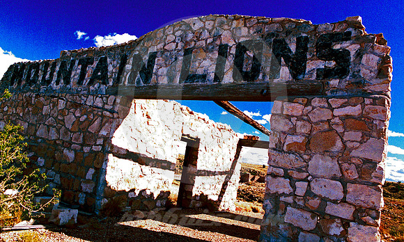 MOUNTAIN LIONS #2 (Rt 66 Two Guns AZ)