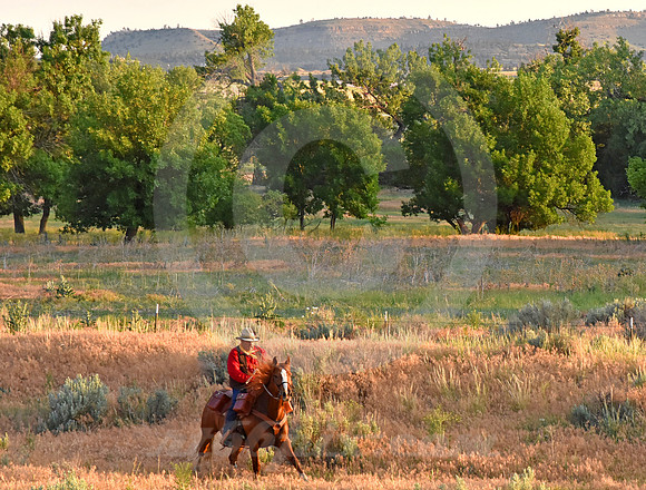RE-RIDE #549 (Guernsey WY)