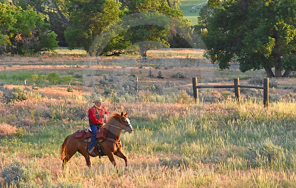 RE-RIDE #550 (Guernsey WY)