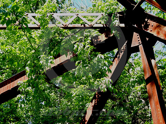 SPRING FOLIAGE ON PRYOR CREEK BRIDGE (Rt 66 nr Chelsea OK)