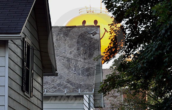 SMILEY-FACE WATER TOWER #5 (Ashley IN)