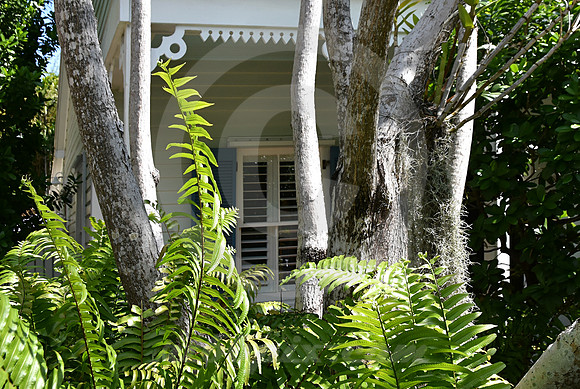 KEY WEST #149 (Key West FL)