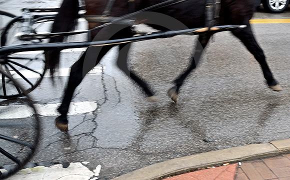 WET HORSE & BUGGY #1 (Lincoln Highway Ashland OH)