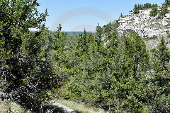 ASH HOLLOW #9 (nr Lewellen NE)