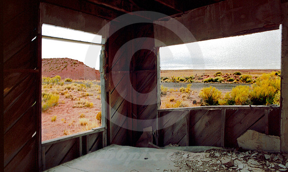 LOOKING OUT (Rt 66 Painted Desert AZ)