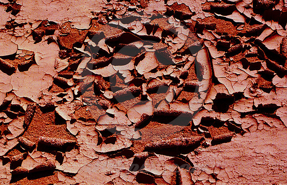 PEELING MUD (Rt 66 nr Fenner CA)