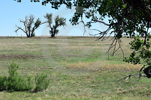 CHARLIE'S RUTS #1 (nr Lakin KS)