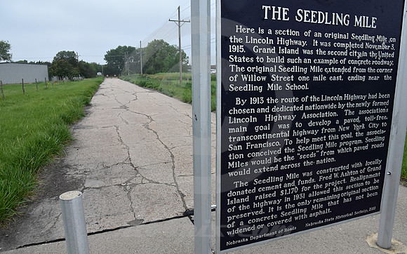 SEEDLING + SIGN (Lincoln Highway Grand Island NE)