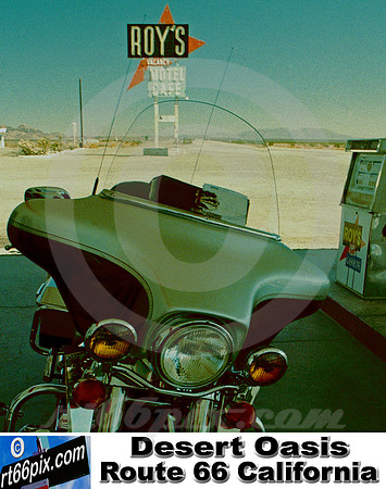 Desert Oasis Route 66 California