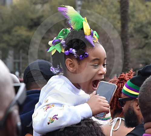 MARDI GRAS #275 (New Orleans LA)