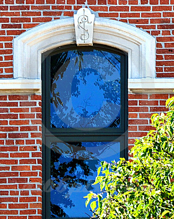 TREE REFLECTION #2 (Lincoln Highway Warsaw IN)