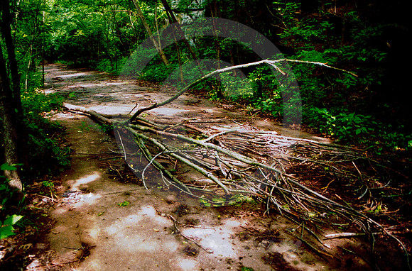 ABANDONED PAVEMENT (Rt 66 Catoosa OK)