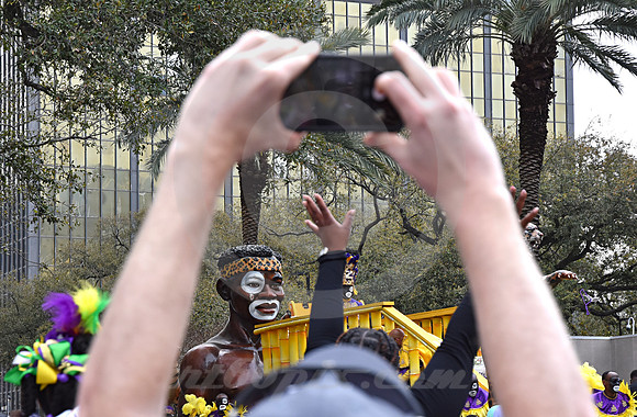 MARDI GRAS #338 (New Orleans LA)