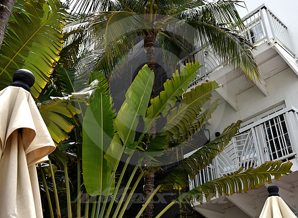 MIAMI BEACH #191 (Miami Beach FL)