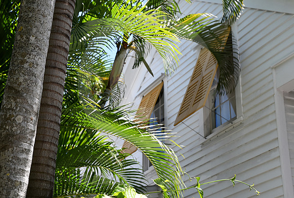 KEY WEST #11 (Key West FL)