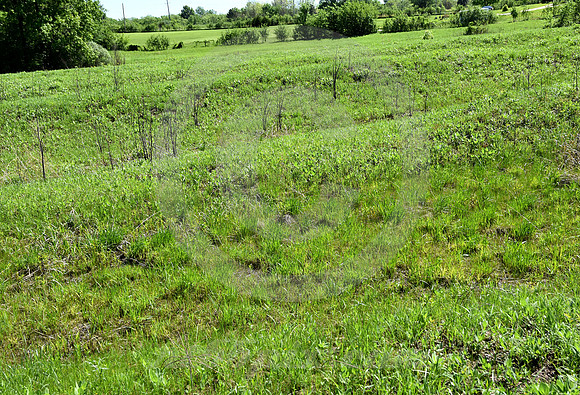 BLACK JACK RUTS #2 (nr Baldwin KS)