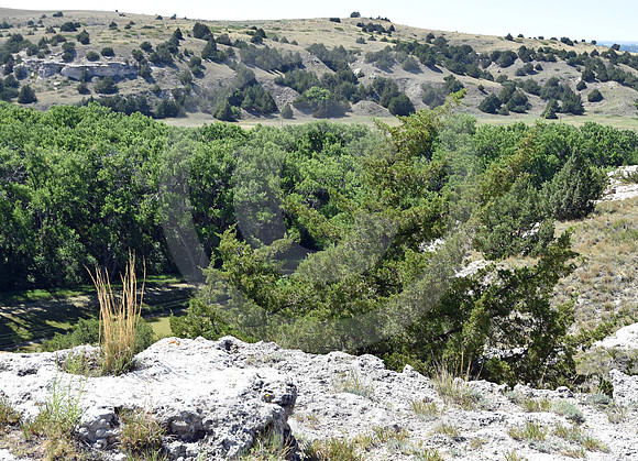ASH HOLLOW #5 (nr Lewellen NE)