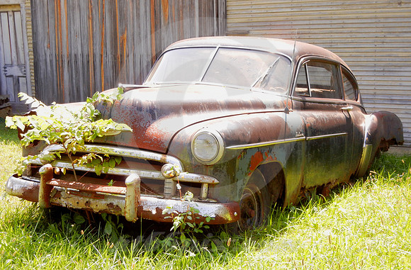 RUSTING CHEVY & SAPLING (National Road Norwich OH)