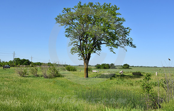 GARDNER #5 (Gardner KS)
