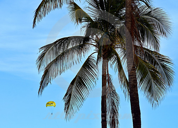 MIAMI BEACH #214 (Miami Beach FL)