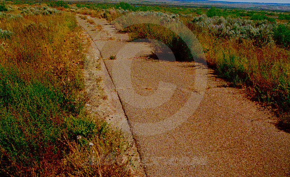ABANDONED 1951 PAVEMENT (Rt 66 nr Glenrio NM)