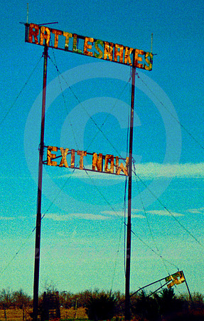 RATTLESNAKES EXIT NOW (Rt 66 nr Conway TX)