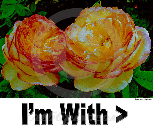 I'm With (small to large)