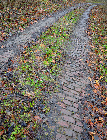 BRICK TRACKS (National Road nr Old Washington OH)