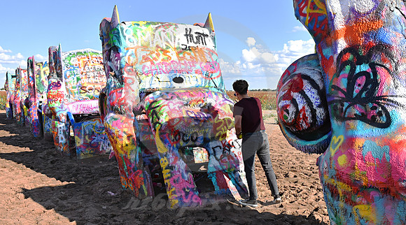BUTTERFLY #2 (Rt 66 Cadillac Ranch TX)
