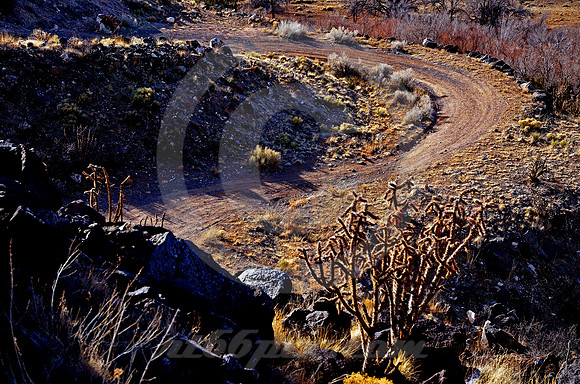 HAIRPIN AT DAWN (Rt 66 La Bajada NM)