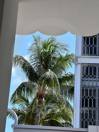 MIAMI BEACH #34 (Miami Beach FL)