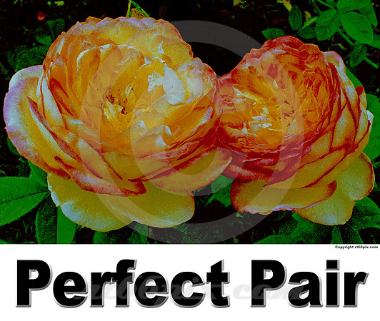 Perfect Pair