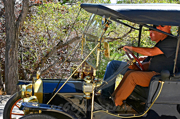 BULB HORN (Virginia City NV)