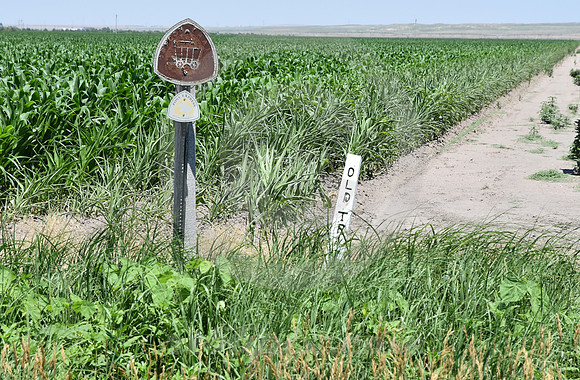 TRAIL MARKERS #2 (nr Ovid CO)