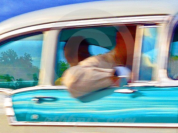RIDIN' SHOTGUN #1  ('56 CHEVY) (Rt 66 Springfield IL)