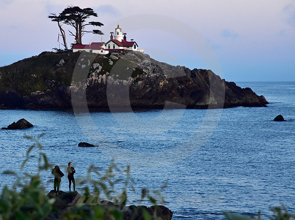 CALIFORNIA STYLE #313 (Crescent City CA)
