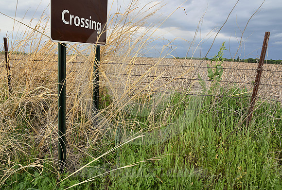 TRAIL CROSSING #1 (Central MO)