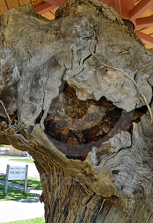 POST OFFICE OAK #1 (Council Grove KS)