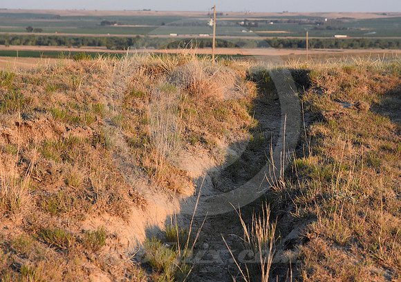 CALIFORNIA HILL #7 (nr Brule NE)