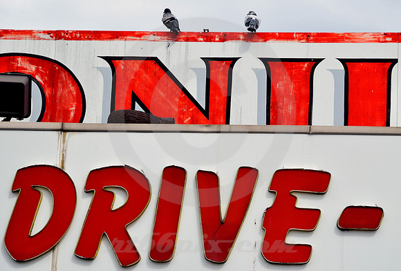 PIGEON ROOST (Rt 66 St. Louis MO)