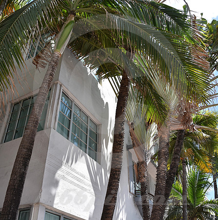 MIAMI BEACH #204 (Miami Beach FL)