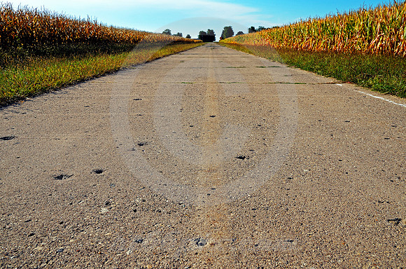VINTAGE CONCRETE & CORN (Rt 66 nr Springfield IL)